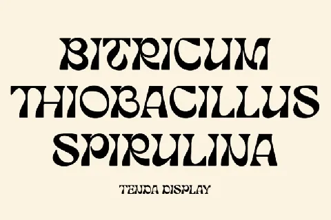 Tenda Display font