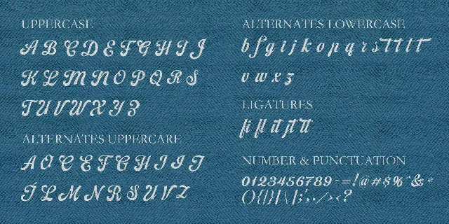 Alameda font