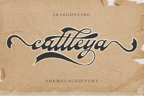 Cattleya font