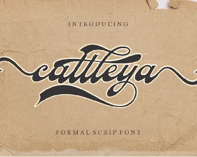 Cattleya font