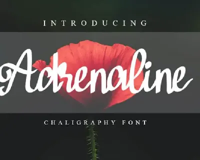 Adrenaline Brush font