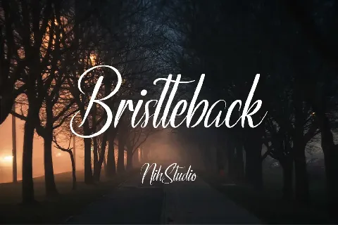 Bristteback Demo font