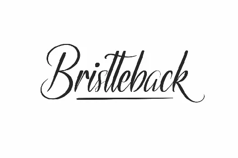 Bristteback Demo font