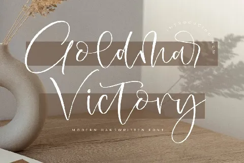 Goldmar Victory DEMO VERSION font