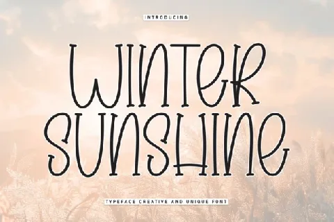 Winter Sunshine Display font