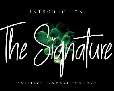 The Signature Handwritten font