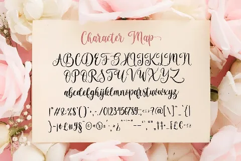 Brightside Modern Calligraphy font