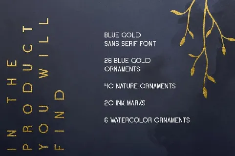 Blue Gold Sans Serif + Extras font