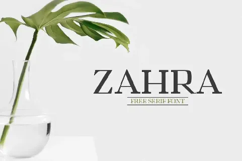 Zahra Serif font