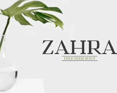 Zahra Serif font