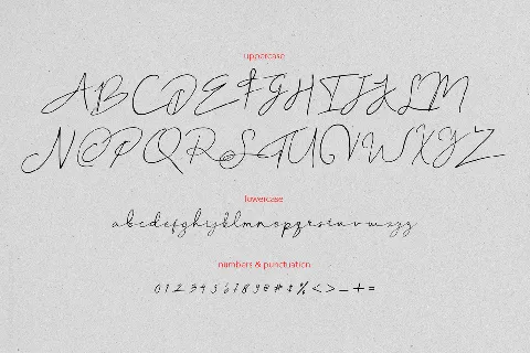 Peylon Viggo font