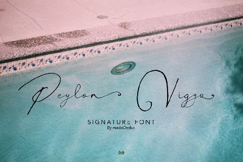 Peylon Viggo font