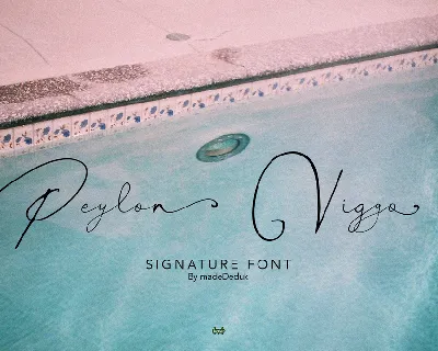 Peylon Viggo font