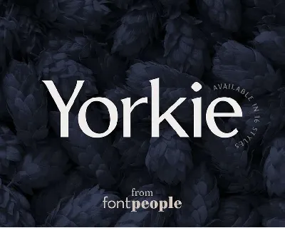 Yorkie font