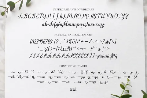 Violenty Script font