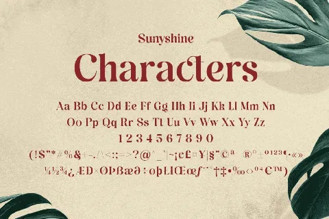 Sunyshine DEMO font