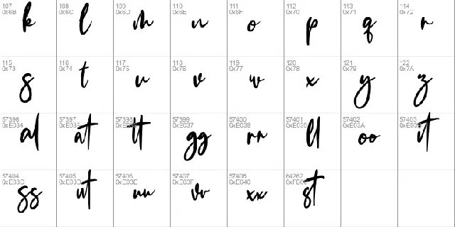 The Fashionist Script font