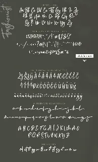 The Fashionist Script font