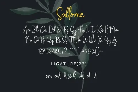 Sallome font