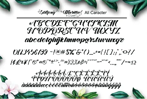 Stiffeny Maritta Calligraphy Script font