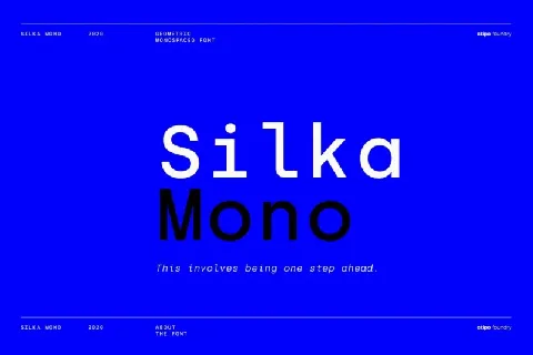 Silka Mono font