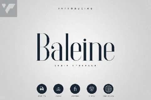 Baleine Serif font