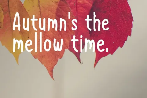 Autumn Happiness font