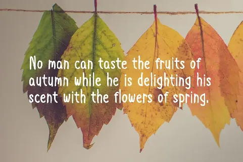 Autumn Happiness font