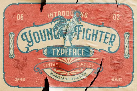 Young Fighter font