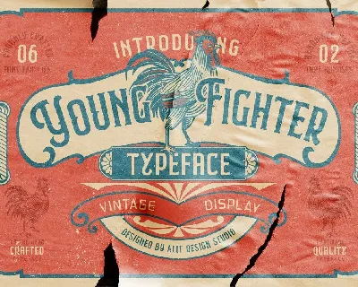 Young Fighter font