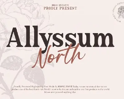 Allyssum North Duo font