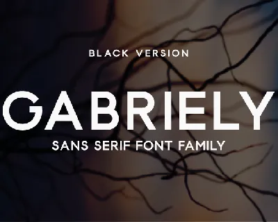 Gabriely font