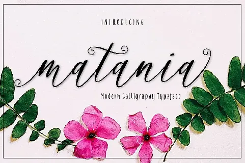 Matania Calligraphy font