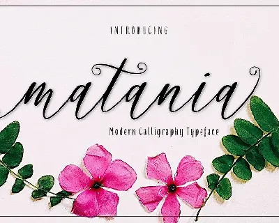 Matania Calligraphy font