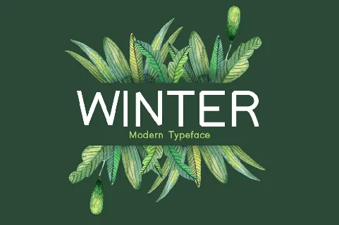 Winter font