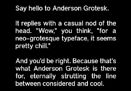 Anderson Grotesk Family font