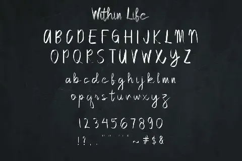 Within Life Demo font