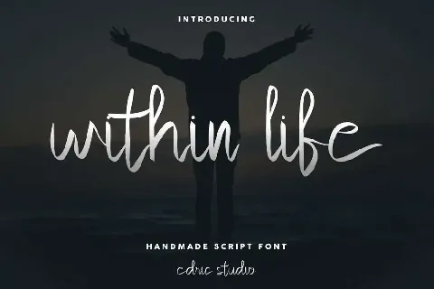 Within Life Demo font
