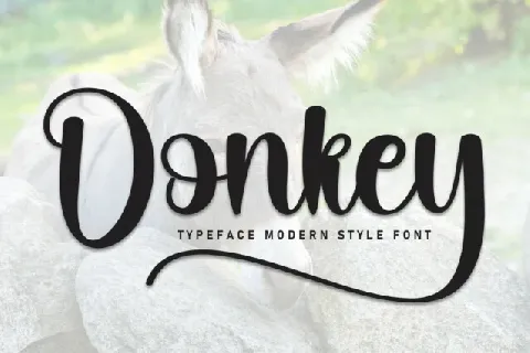 Donkey Script font