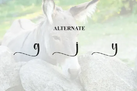 Donkey Script font