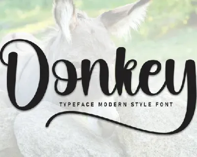 Donkey Script font