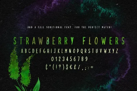 Strawberry Blossom Free font