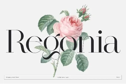 Regonia font