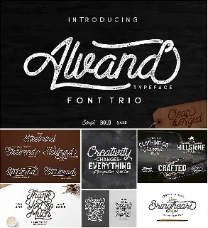 Alvand Family font