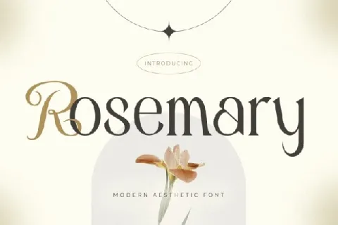 Rosemary Typeface font