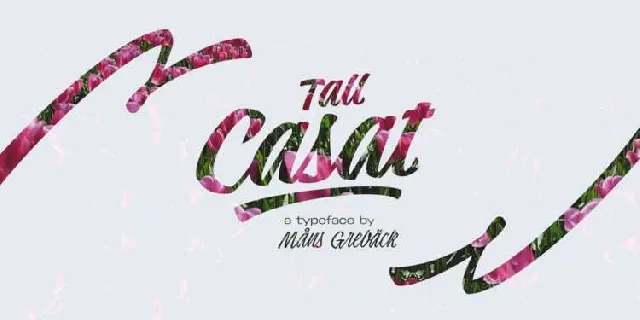 Tall Casat Script Free font