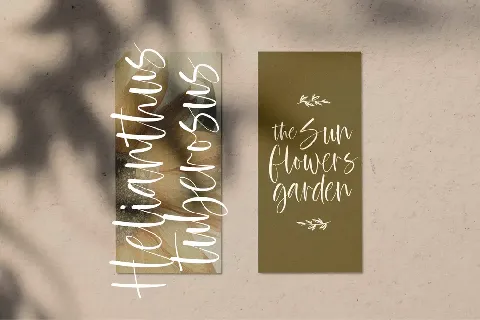 Bohemis Typeface font