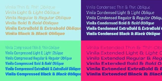 Vinila Family font