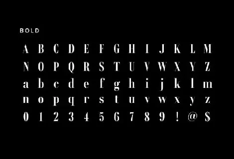 Rondal Serif Family font