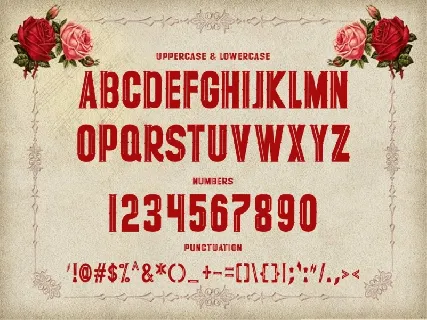 Villadicance Display font